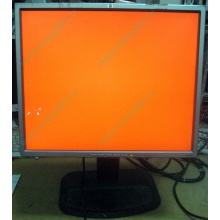Монитор 19" TFT HP 1955 (DVI в Брянске, USB-хаб) "квадратный" (Брянск)