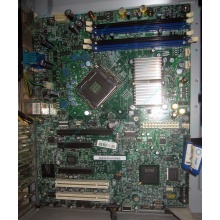 Материнская плата Intel Server Board S3200SH s.775 (Брянск)
