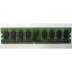 Модуль оперативной памяти 4096Mb DDR2 Patriot PSD24G8002 pc-6400 (800MHz)  (Брянск)