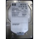 HP 454228-001 146Gb 15k SAS HDD (Брянск)