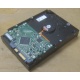 Жесткий диск HP 250Gb 7200 rpm 432337-001/ 399699-001 / 397377-004 (Брянск)