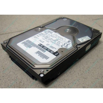 Жесткий диск 18.2Gb IBM Ultrastar DDYS-T18350 Ultra3 SCSI (Брянск)