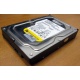 Жесткий диск 160Gb WD WD1602ABKS SATA (Брянск)