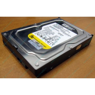Жесткий диск 160Gb WD WD1602ABKS SATA (Брянск)