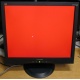 Монитор 19" ViewSonic VA903b (1280x1024) есть битые пиксели (Брянск)