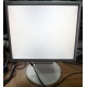 Монитор 17" TFT Nec MultiSync LCD175VXM+ бело-серебристый (Брянск)