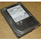 HDD 500Gb Hitachi HDS721050DLE630 донор на запчасти (Брянск)