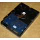 Электроника HDD 500Gb Hitachi HDS721050DLE630 (Брянск)