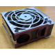 HP 224977 (224978-001) for Proliant ML370 G2/G3/G4 (Брянск).