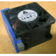 Вентилятор TFB0612GHE для корпусов Intel SR2300 / SR2400 (Брянск)