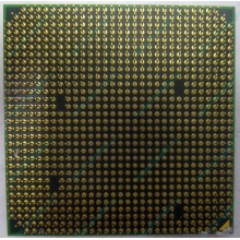 Процессор AMD Athlon 64300+ (1.8GHz) ADA3000IAA4CN s.AM2 (Брянск)